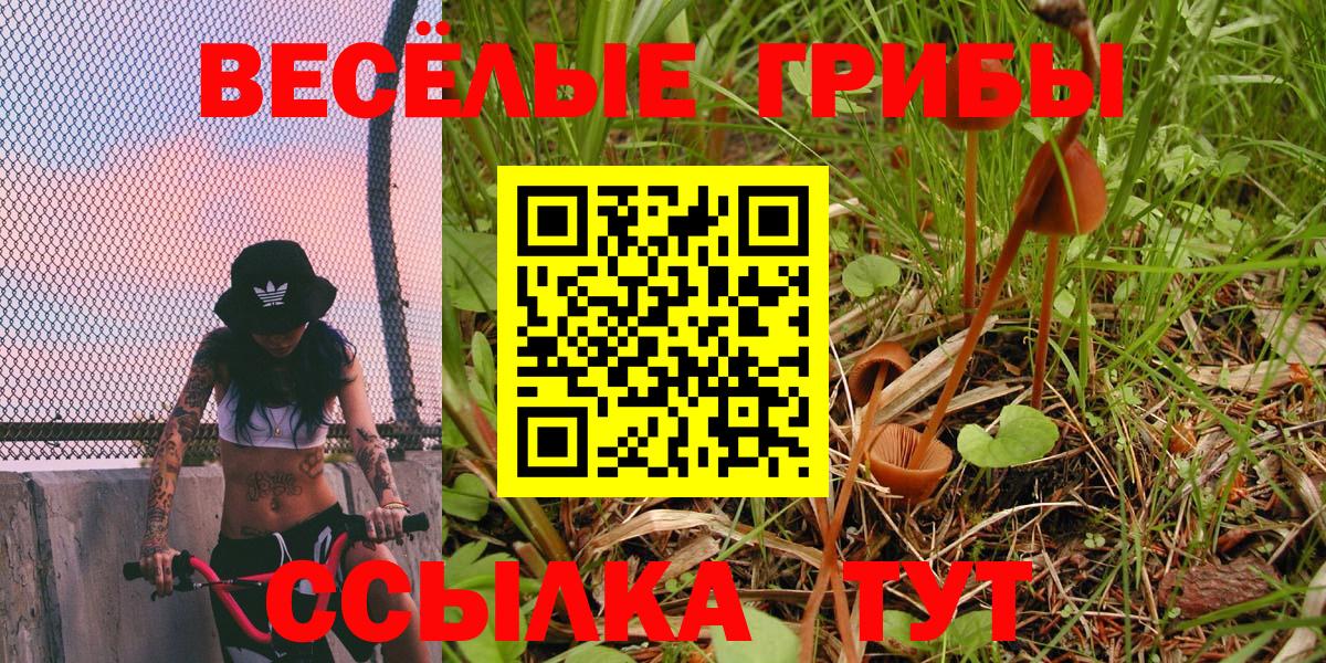 Псилоцибиновые грибы Psilocybine cubensis  купить закладку  Галлюциногенные грибы ЛСД  Шадринск  Вход с VPN 