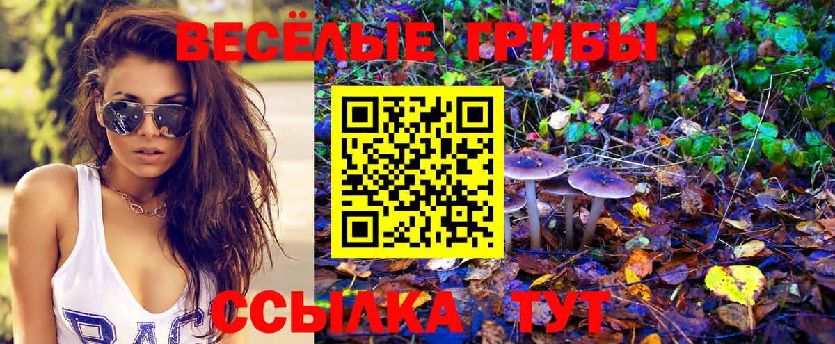 Псилоцибиновые грибы Magic Shrooms Шадринск